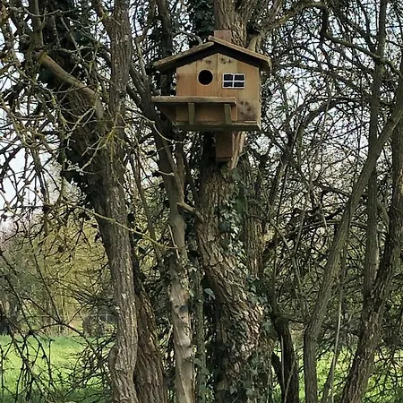 La Cure De * Noduwez