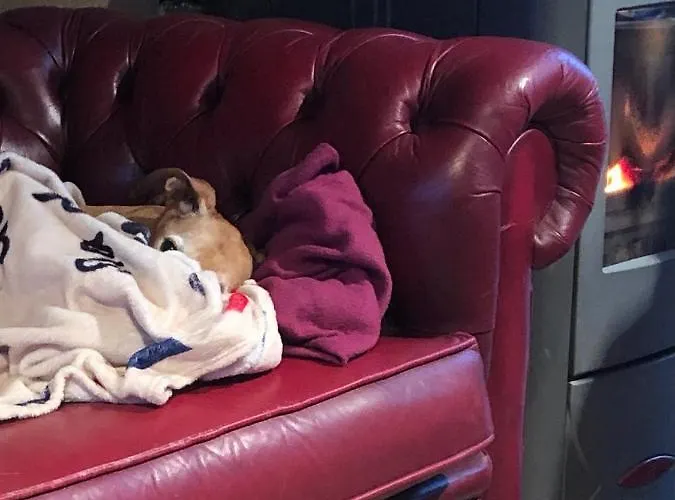 Hébergement de vacances La Cure De *