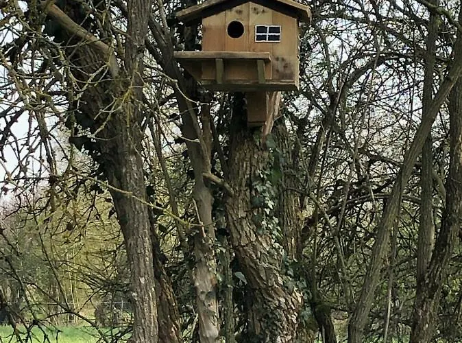 La Cure De * Noduwez